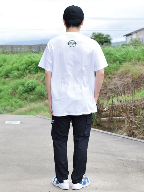 サメだー!!