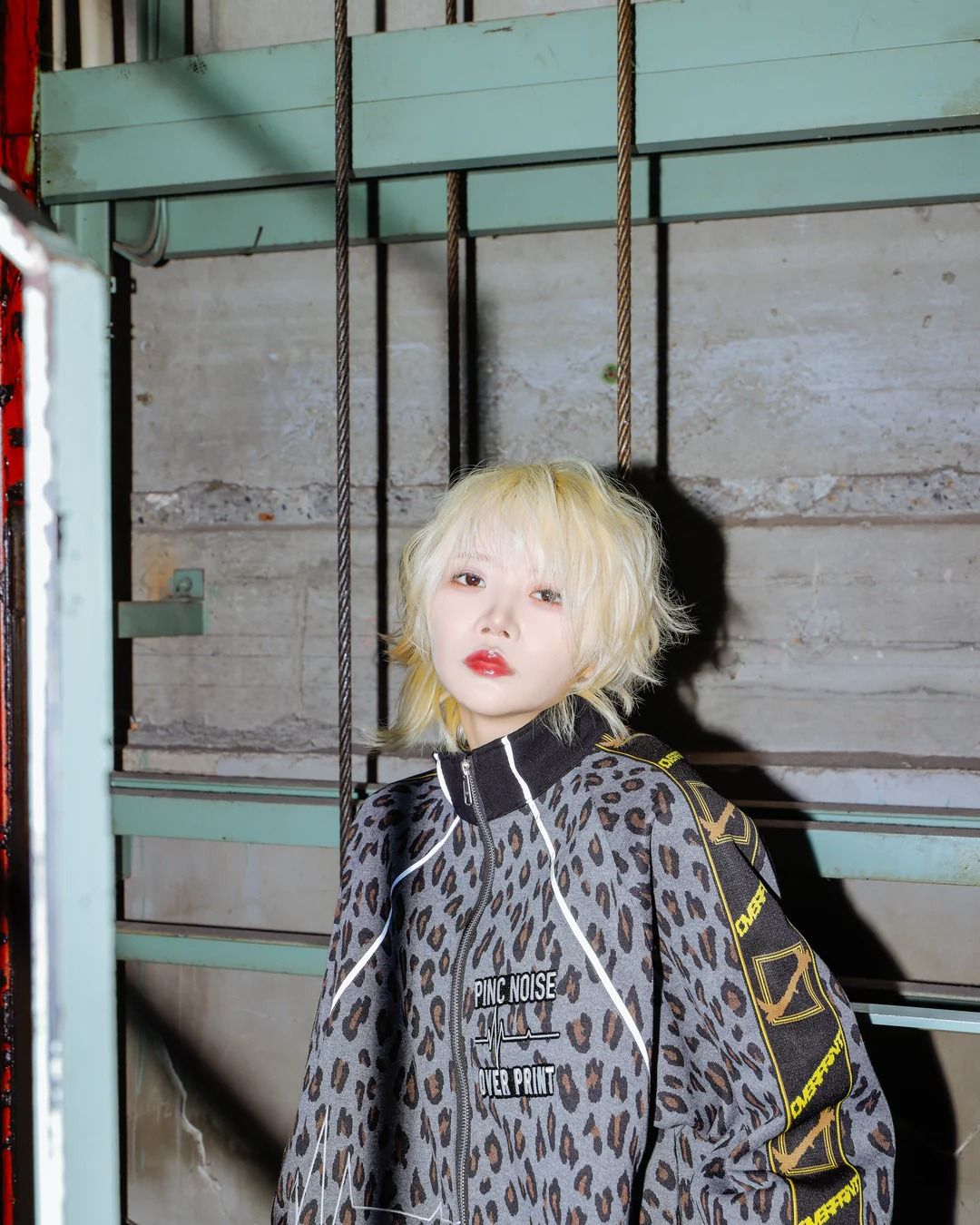 PINC NOISE LEOPARD SET-UP