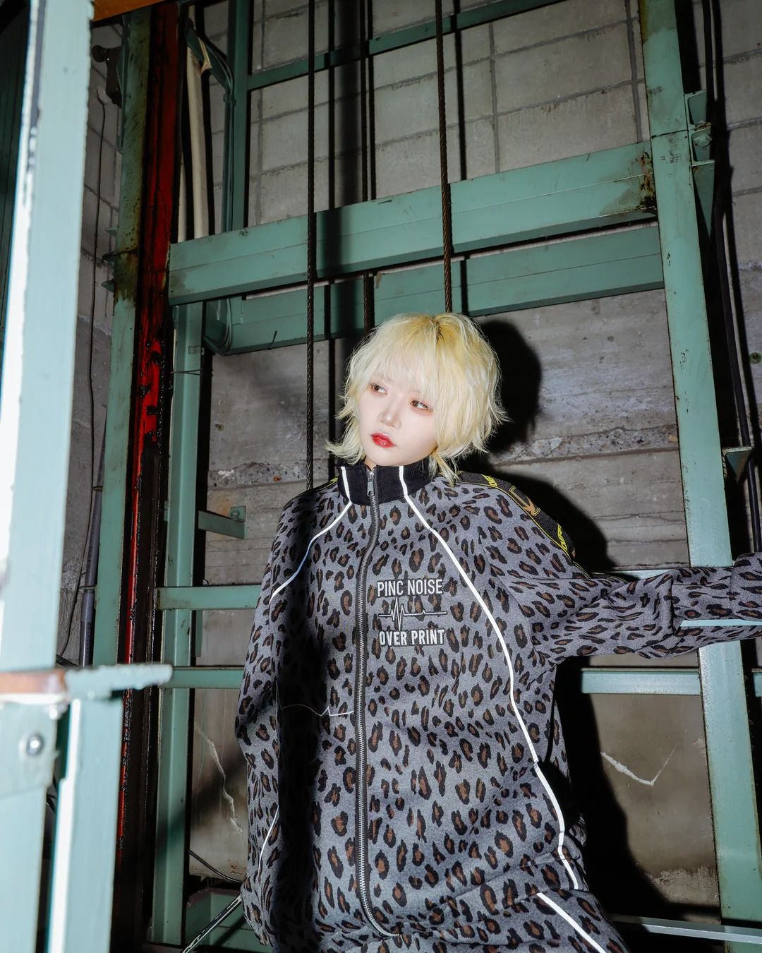 PINC NOISE LEOPARD SET-UP