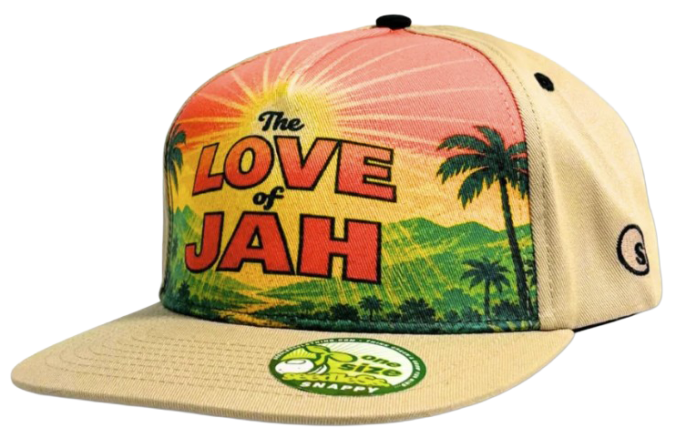 sd `Barrington Levy' collab. Cap