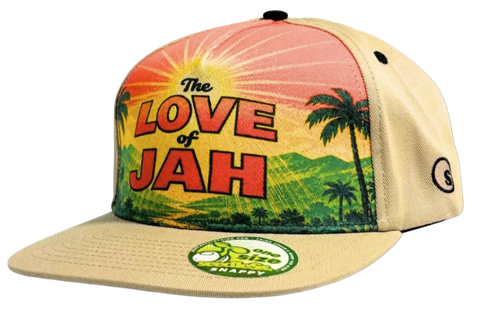 sd `Barrington Levy' collab. Cap