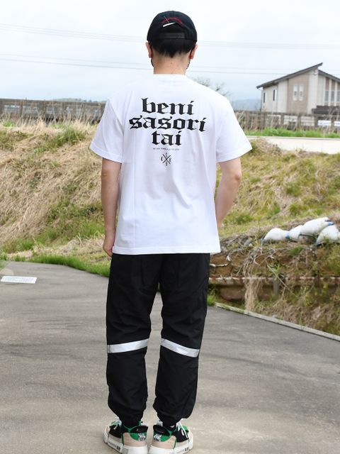 BENI SASORI TAI！