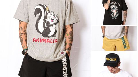 《ANIMALIA》新作入荷！