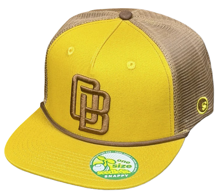 sd OB snap back Mesh cap
