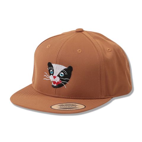 BB CAP - VINTAGE SKUNK
