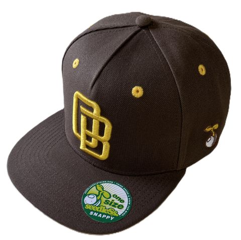 sd OB snap back cap