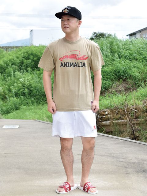 豪快な夏!