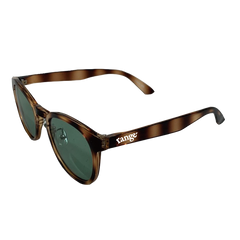 rg curve sunglasses