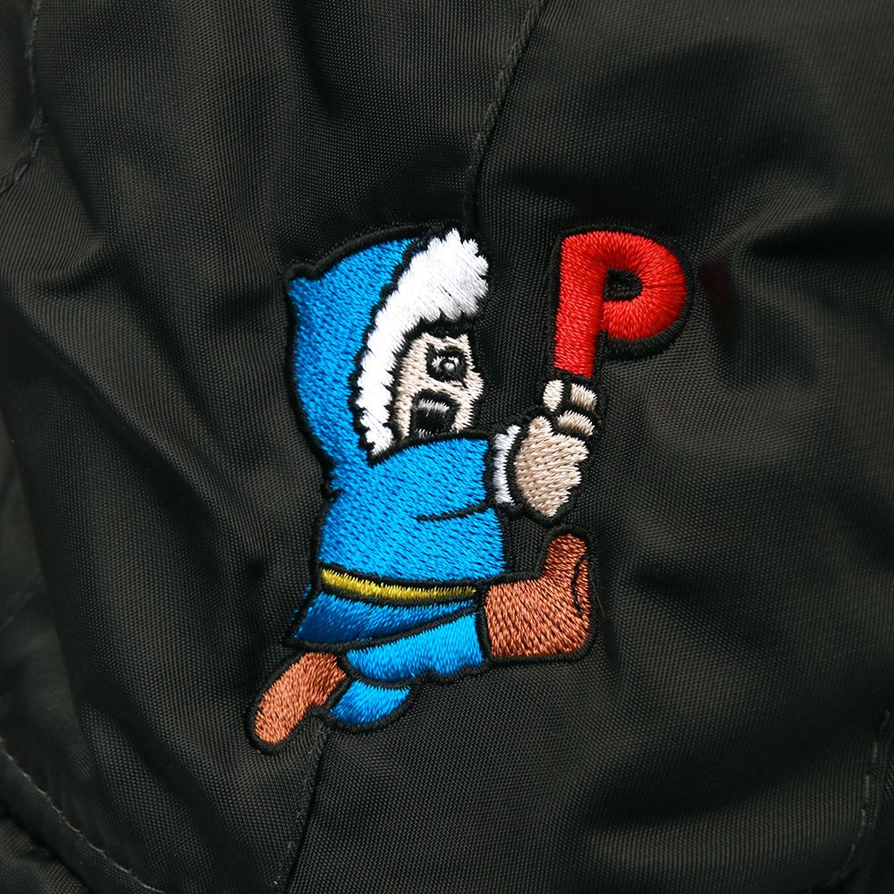 北極あいつフライトCAP