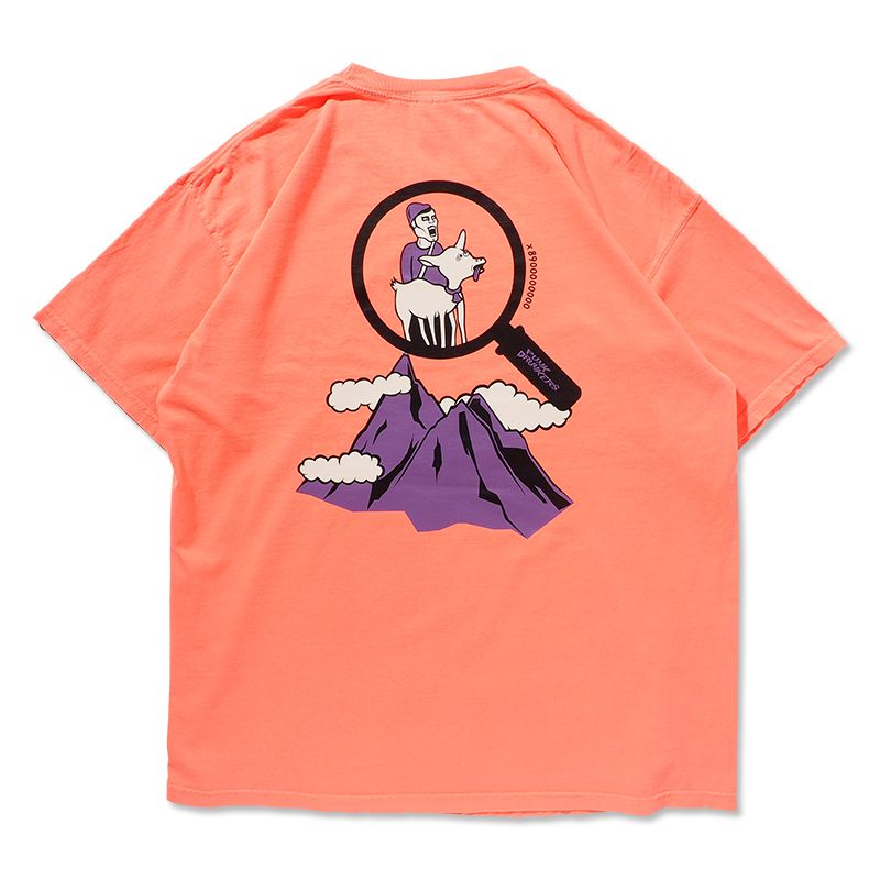 山脈の上にヤギTEE
