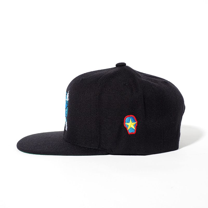 [PDSxSONIC]音速CAP