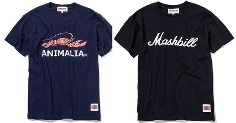 アニマリア、ゼファレンTシャツ入荷！