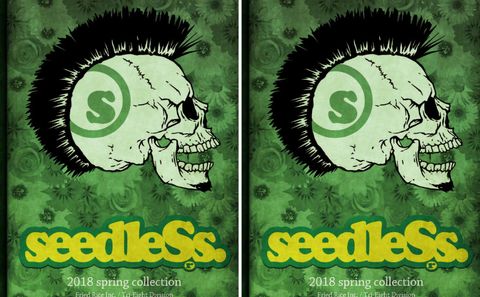 seedleSs spring collection start！