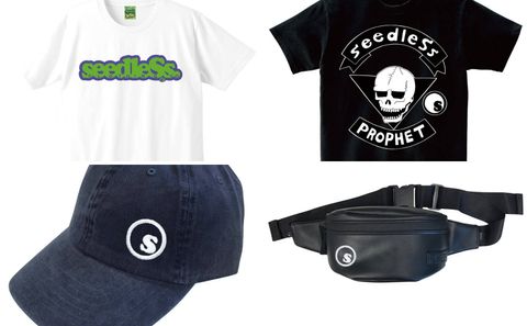 seedleSs 新作！