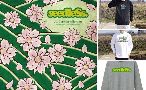 seedleSs spring start！