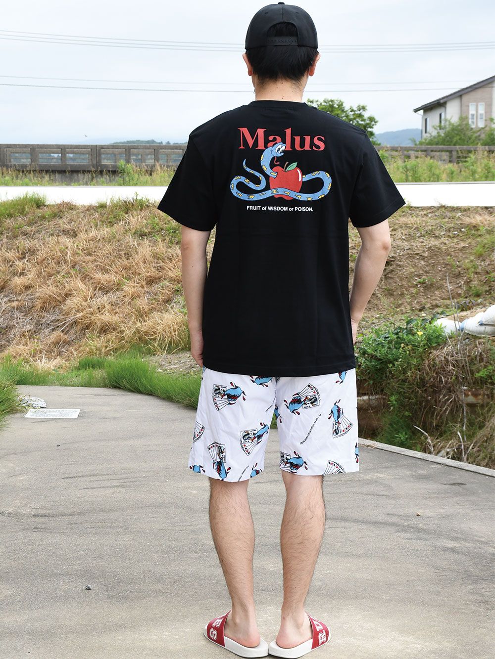 MALUS-T