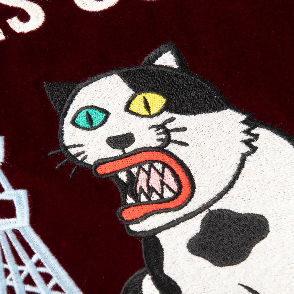 野良猫ベトジャン
