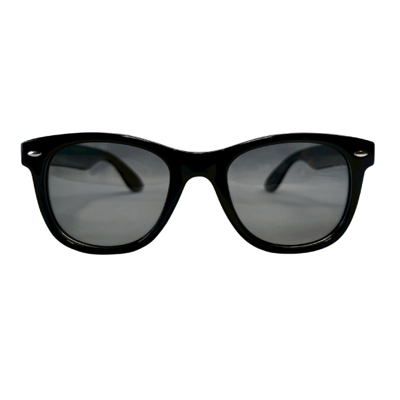 sd royal shape sunglasses<偏光>