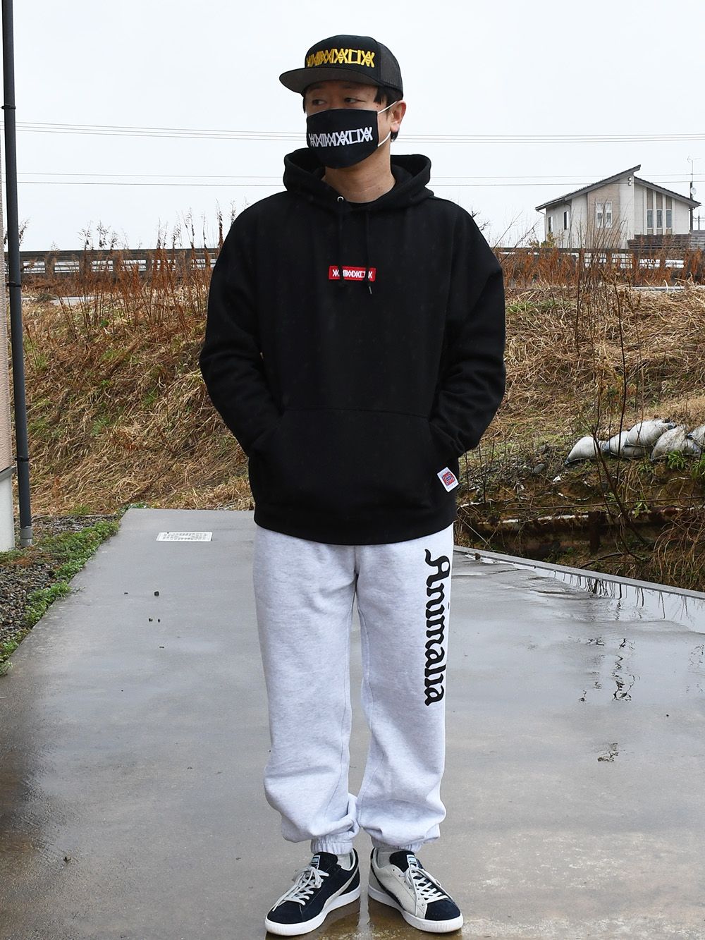 大きな⚫️がインパクト大！
