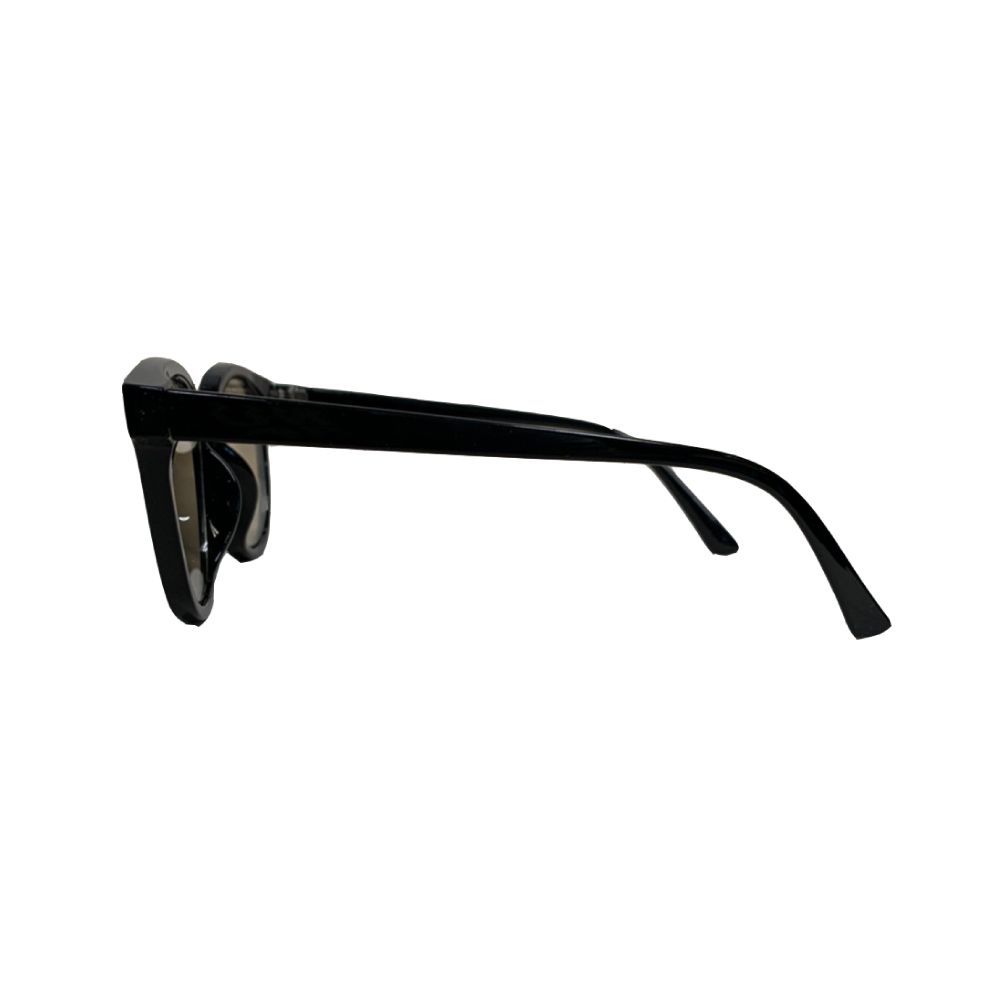 rg sunglasses rg1