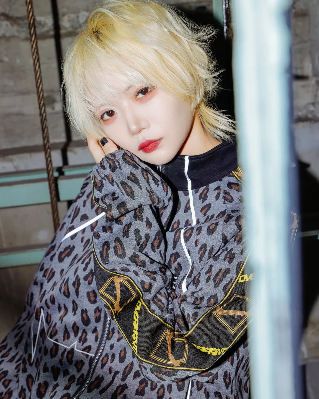 PINC NOISE LEOPARD SET-UP