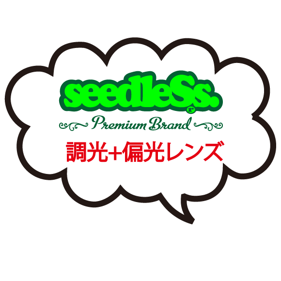 sd ﬂat top sunglasse 調光・偏光