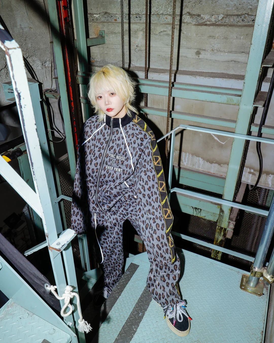 PINC NOISE LEOPARD SET-UP