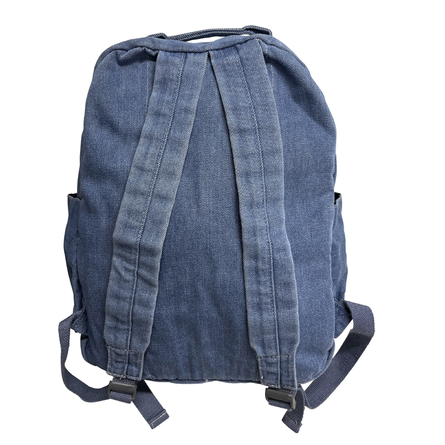 rg Denim daily back pack