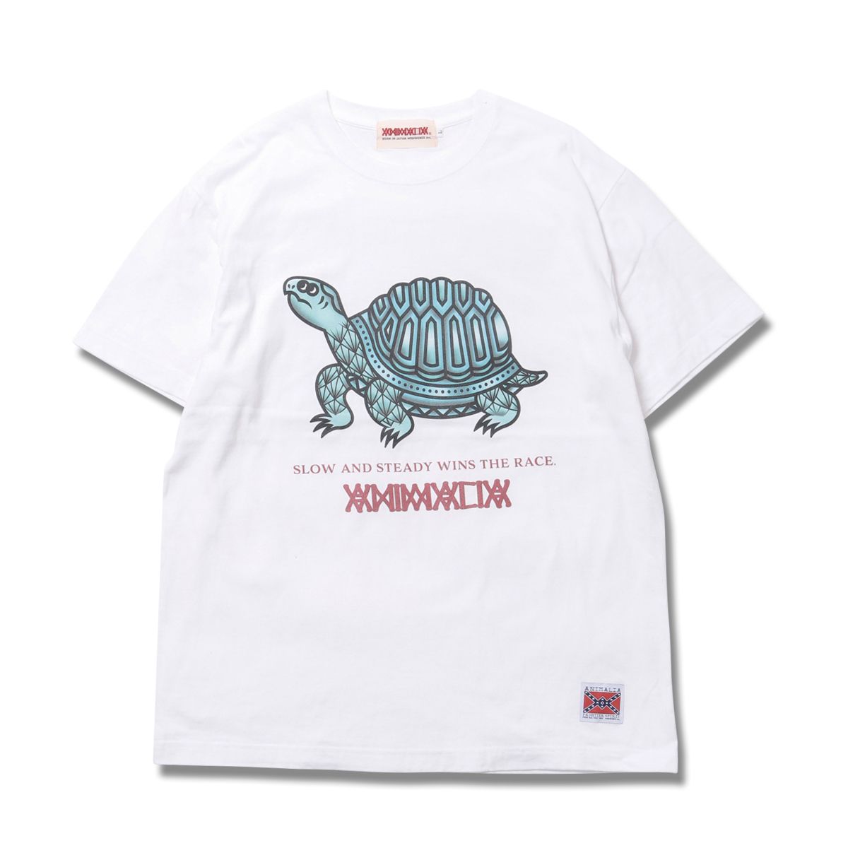 TORTOISE-