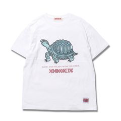 TORTOISE-