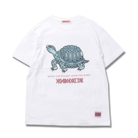 TORTOISE-