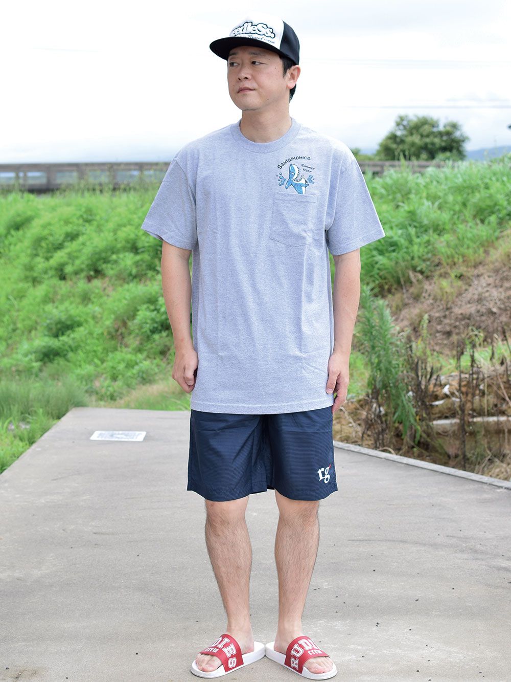 shark out of pocket tee