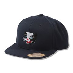 BB CAP - VINTAGE SKUNK