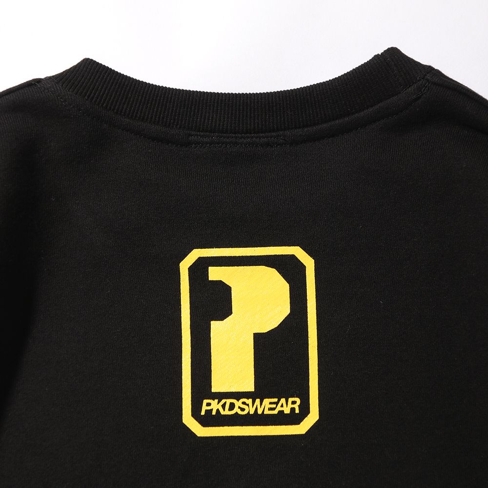 PDSプレゼンツBIGトレーナー