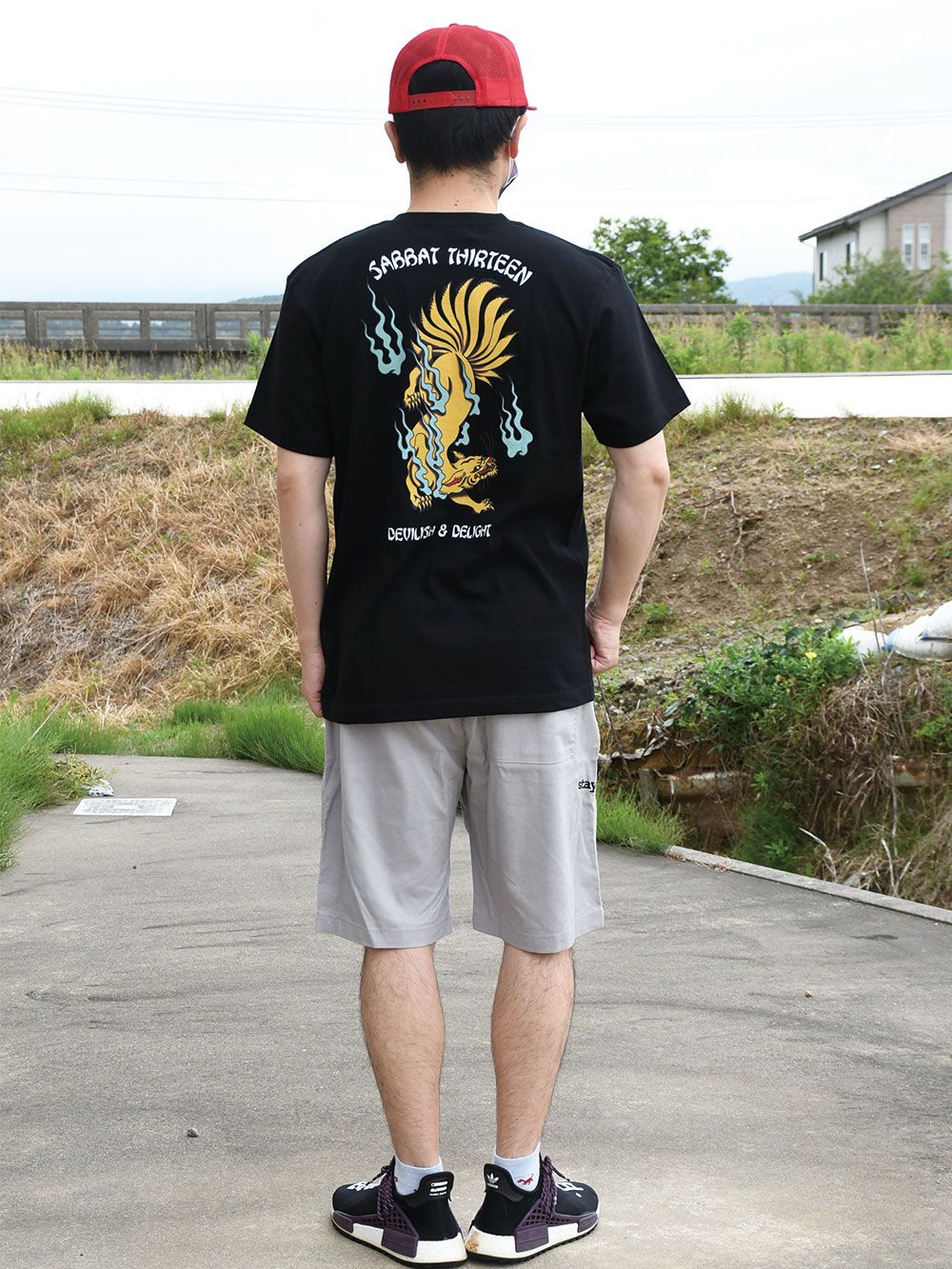 13TALED FOX T