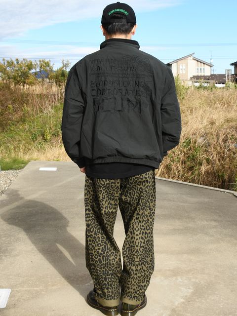 見た目はクール！中身はホット！