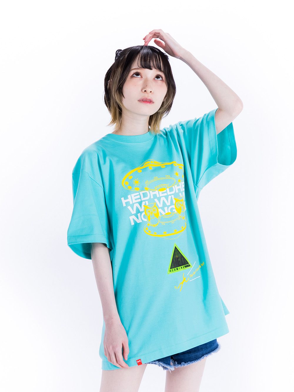 Owl U.F.O. Pick-up T-Shirt