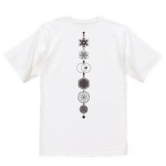 rg THE Truth of the Universe s/s tee