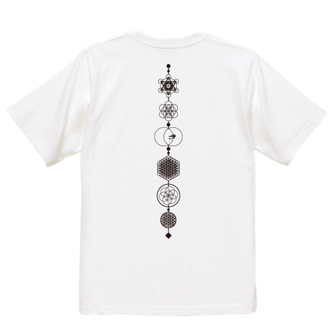 rg THE Truth of the Universe s/s tee
