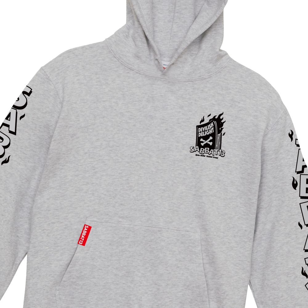 BOOK BURNING-HOODIE