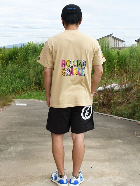 ウッディコレクション！