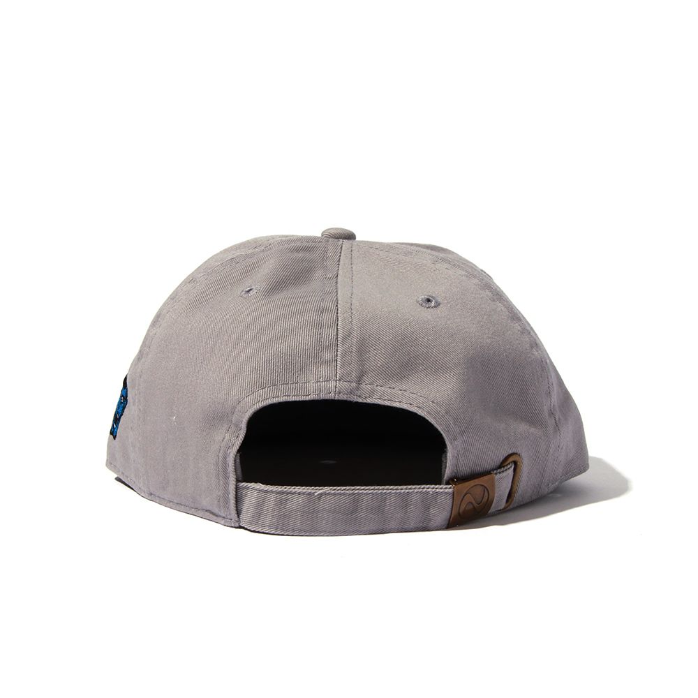 日本支部CAP