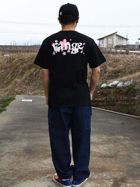 いつでもどこでもお花見気分🌸