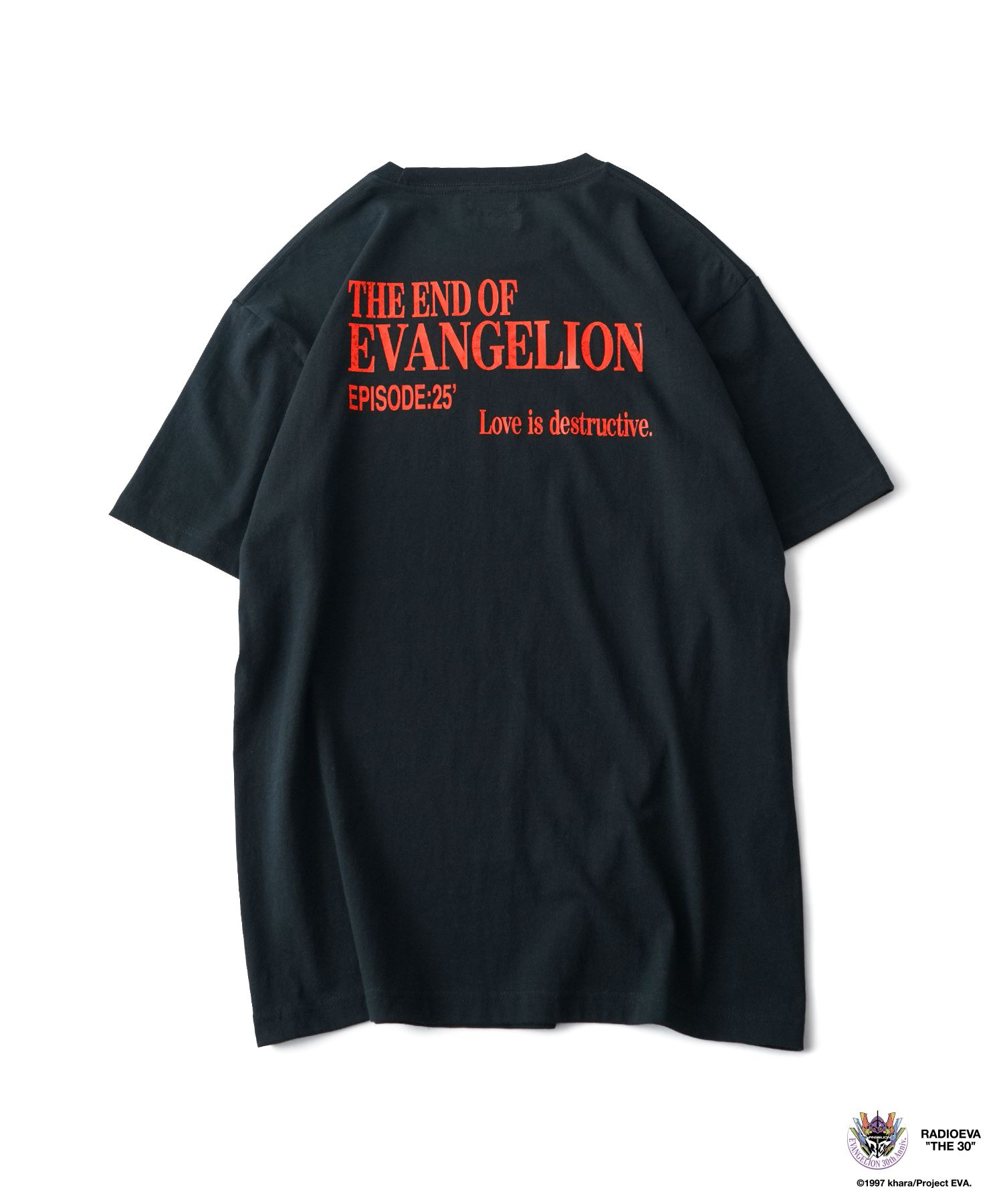DISC11 (ASUKA) TEE