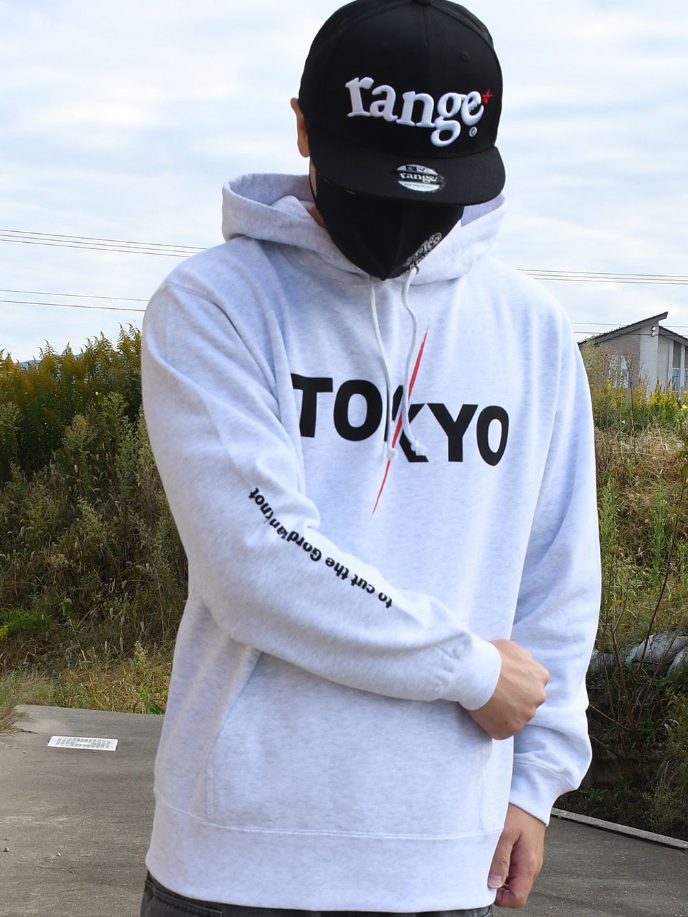 to cut the Gordian knot hoody