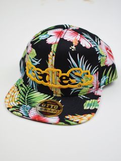 sd color combination snapback