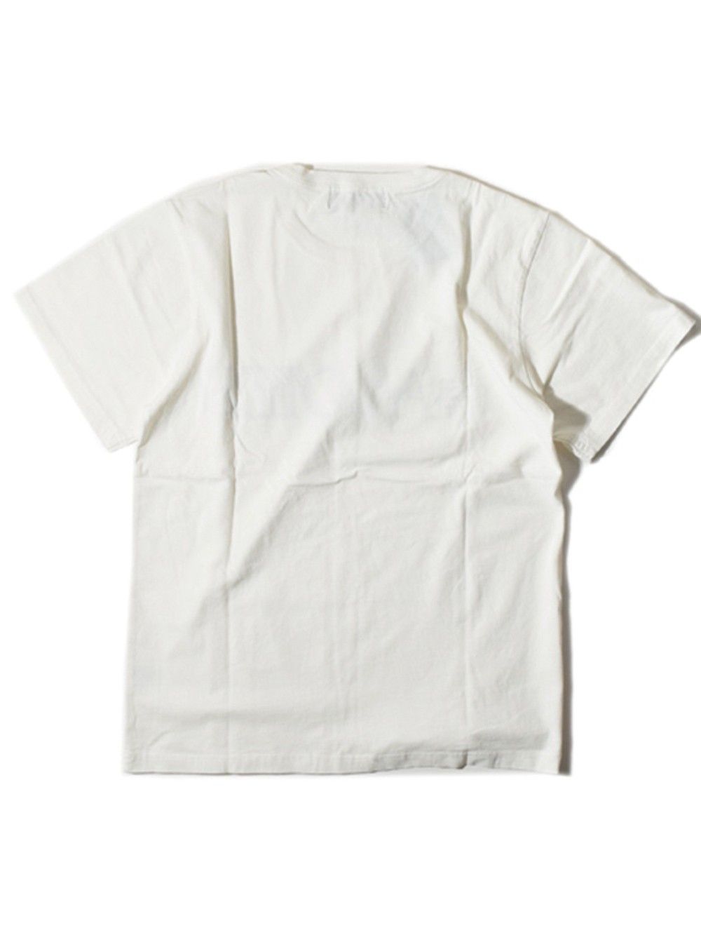 ALDIES Logo T