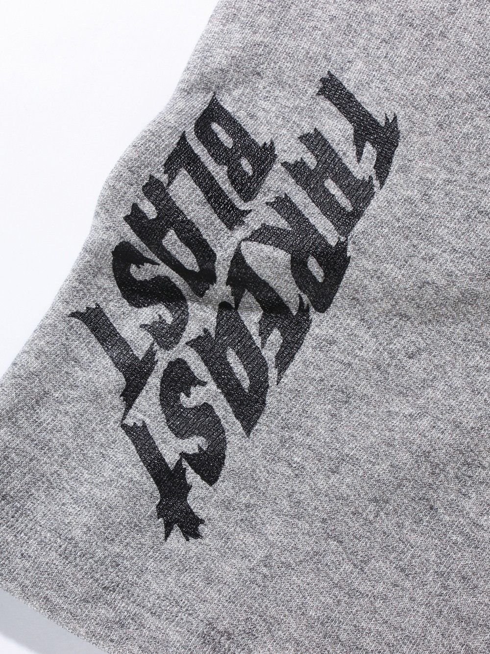 BRISTLE SW SHORTS