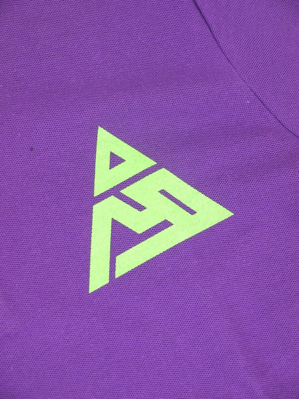 INSAINE-POLO