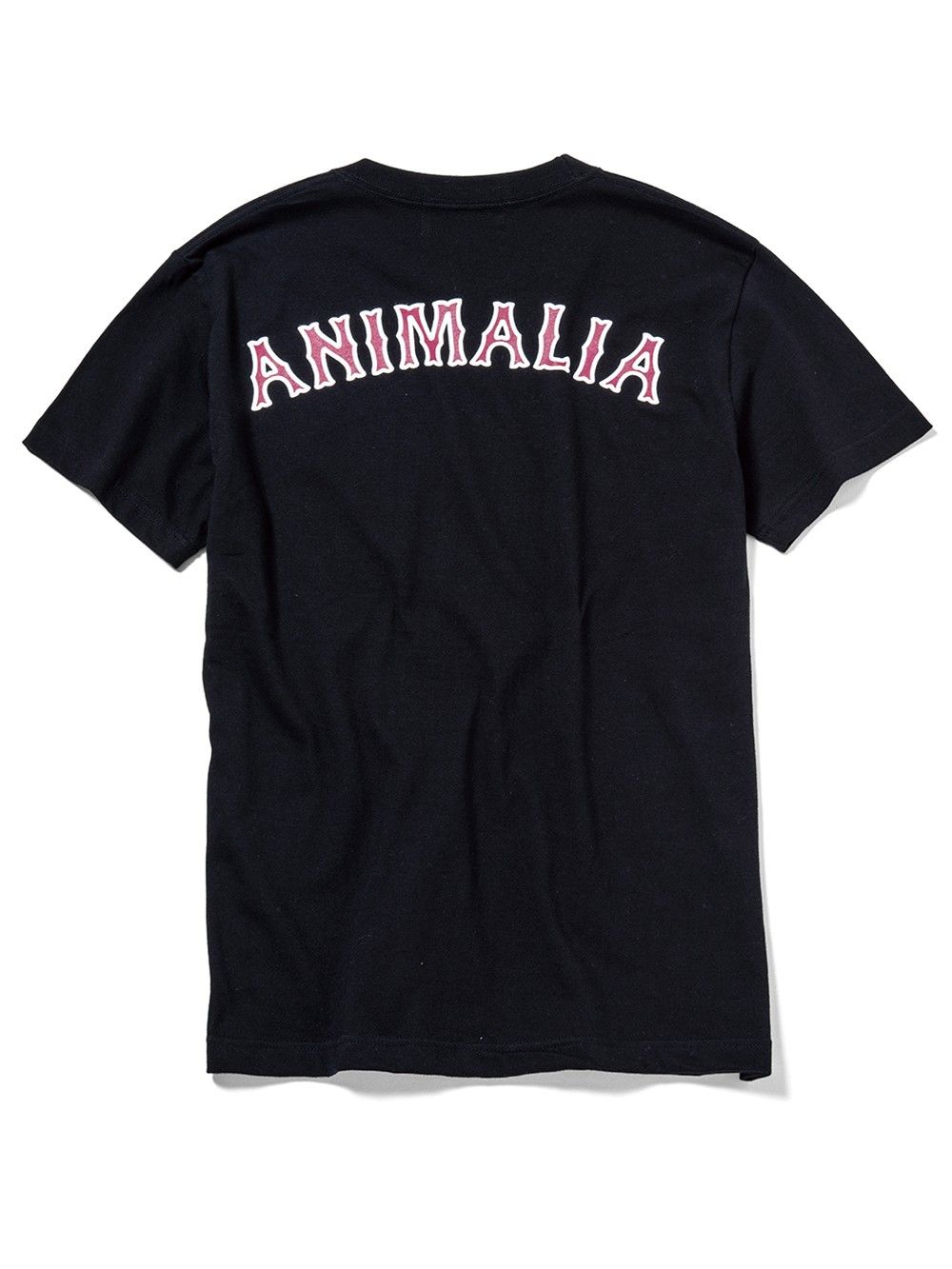 AMA Club